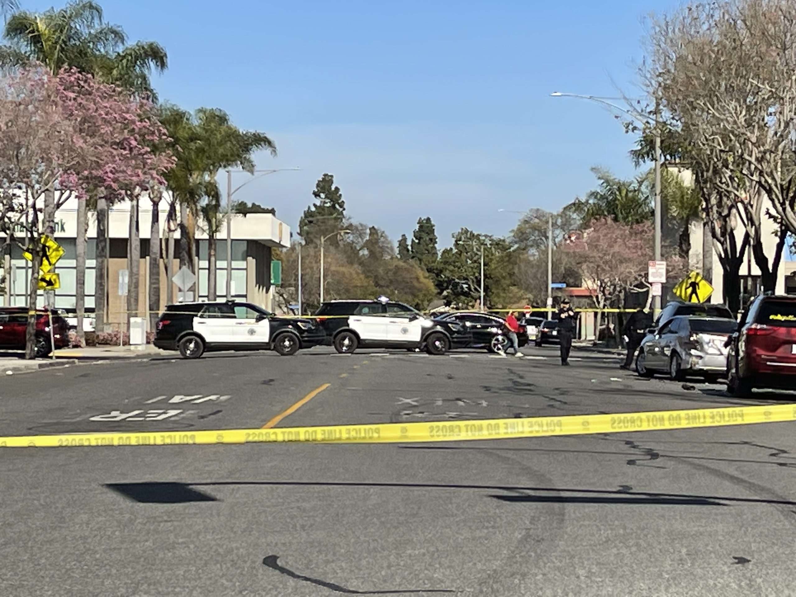 Man Killed In Hit And Run Collision Suspect Arrested Long Beach Local News 